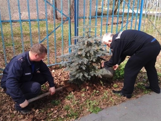 В Пушкино пожарные высадили деревья в рамках эколого-патриотической акции «Лес Победы»