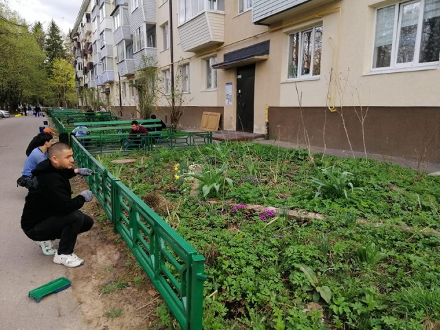 Заборы палисадников «позеленели» в Восходе