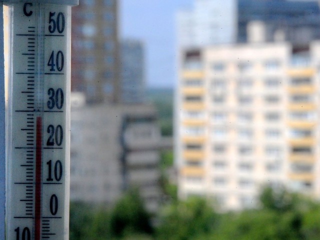 Тропическая жара накроет Подмосковье: синоптик Тишковец назвал точную дату