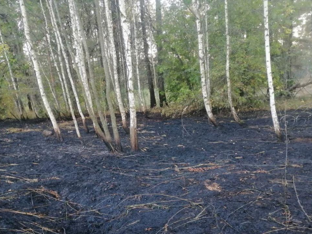 В Электростали оштрафовали человека, разводившего открытый огонь