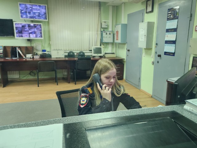 В центре Звенигорода у манекена солдата украли флаг