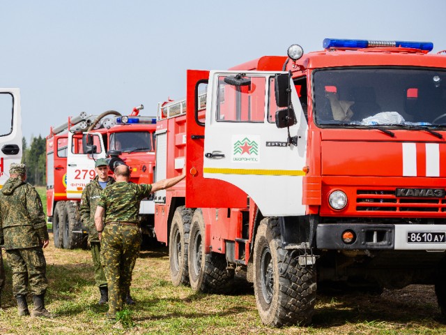 В Подмосковье объявлен I–III класс пожарной опасности
