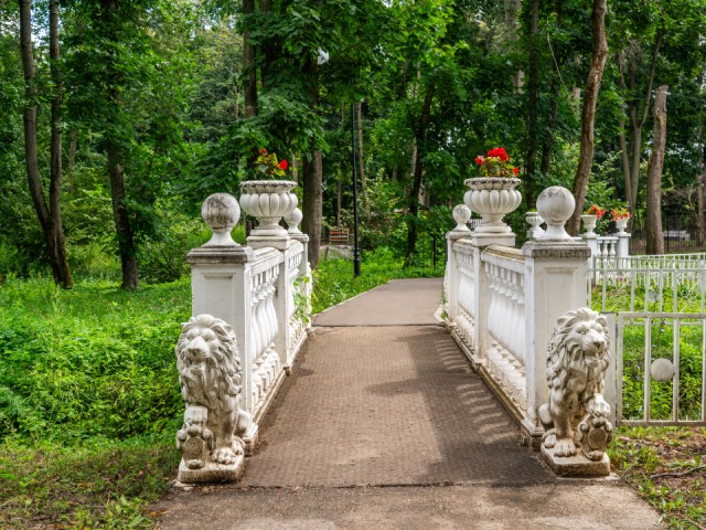 Экскурсию по тайным тропам проведут в парке Лотошина