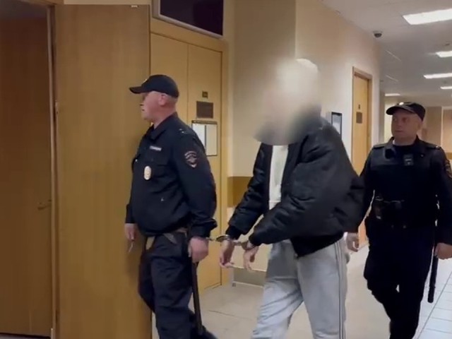 Суд арестовал подростка, напавшего на жительницу Подмосковья в электричке