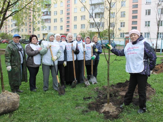 В Дмитрове участники программы «Активное долголетие» приняли участие в акции «Сад Памяти»