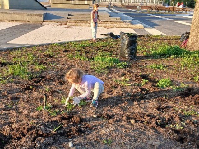 Экоактивистов из Черноголовки приглашают присоединиться к уборке города от сорняков