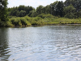 Егорьевцы предложили устроить субботник на Гуслице