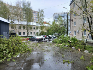 В Красногорске убирают упавшие деревья и восстанавливают электроснабжение