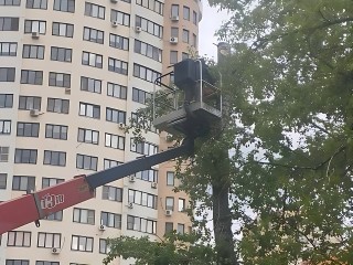 По просьбе реутовчан в Центральном парке опилили сломанное дерево