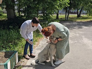 Бесплатная вакцинация домашних животных от бешенства охватит еще 4 села и деревни Луховиц