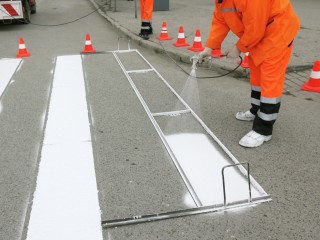 Зебра обойдется Балашихе почти в ₽34 млн