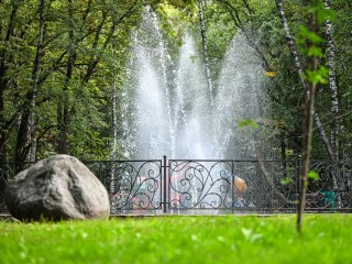 В Химках выберут зеленые территории для комплексного обновления