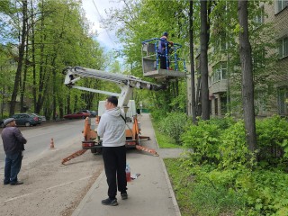 В Реутове устранили последствия упавшего дерева