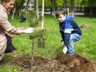 В Раменском дети и взрослые посадили деревья памяти и единения