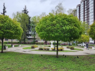 В Старой Купавне до конца июня приведут в порядок двор домов на Октябрьской улице