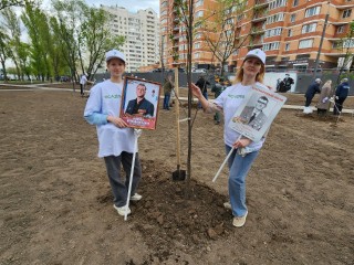 Более 300 деревьев высадили в Мытищах в память о Героях Великой Отечественной войны