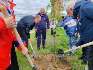 Более 50 черноголовцев приняли участие в экологической акции «Сад памяти»