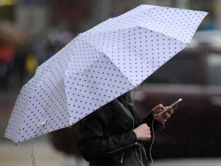 Погода запустила конвейер дождливых циклонов в Московском регионе