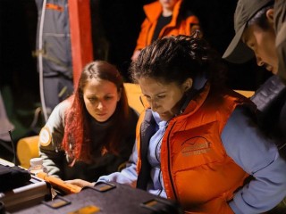 Новые поиски в лесу: в Раменском до сих пор не могут найти пропавшего