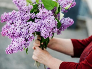 В Воскресенске пенсионерку застукали за кражей цветов из клумбы