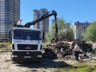 Назван округ Подмосковья с самым большим количеством свалок