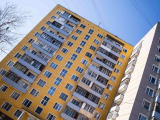 Жители Мытищ пытались помочь упавшей с 15-го этажа собаке