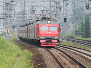 Под Одинцовом железнодорожники спасли собаку, сбитую поездом