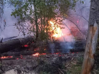 Пожар в Звенигородском лесничестве локализован