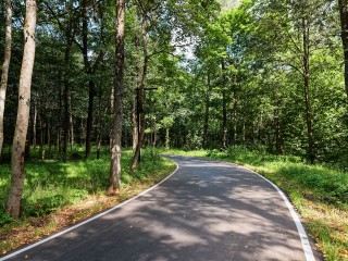 В Одинцовском парке культуры, спорта и отдыха 11 мая перекроют лыжероллерную трассу