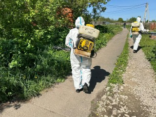В Реутове по борщевику прошел «Торнадо»