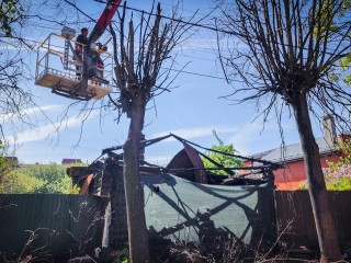 В Комсомольском переулке Бронниц спилили пострадавшее от огня дерево