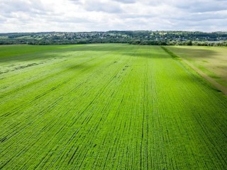 Земли — в оборот: начались жаркие дни каширских аграриев