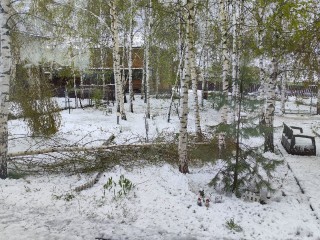Ненастье застало известную актрису в загородном доме под Дмитровом