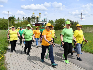 Марафон по скандинавской ходьбе в Подмосковье прошли более четырех тыс. пожилых жителей