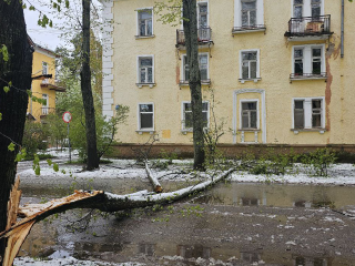В Дубне устраняют последствия аномального майского снегопада