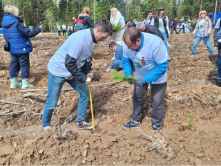 Подмосковные строители присоединились к международной акции «Сад памяти»