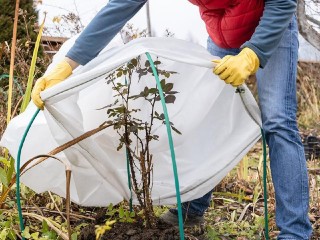 Жителей Сергиева Посада предупредили о заморозках