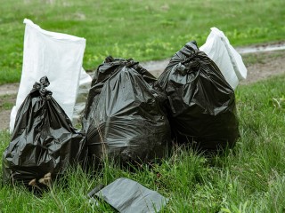 В Голицыне оперативно убрали мусор в лесу после майских праздников