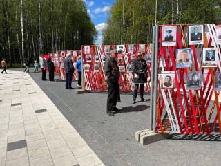 Инсталляцию «Бессмертный полк. Электросталь» показали в парке «Авангард»