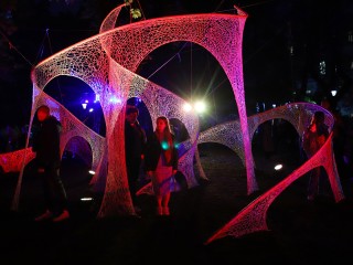 Ночь музеев в Москве 2025: топ-22 самых интересных событий