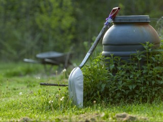 Покос травы теперь считается началом освоения участка
