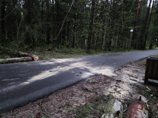 В Новлянском капитально отремонтируют дорогу
