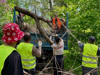 Как прошел экоквест в Горках Ленинских