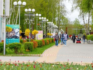 Стало известно, что ждет каширян в парках с 12 по 18 мая