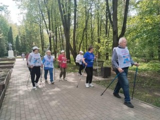 Участники центра «Активное долголетие» из Красногорска прошли марафон по скандинавской ходьбе