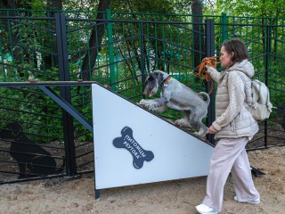 В Реутове завершили реконструкцию трех из семи площадок для выгула собак