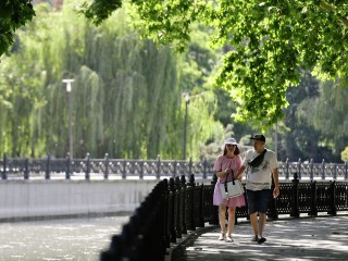 Новые законы для для бизнеса и ветеранов СВО вступят в силу в июне