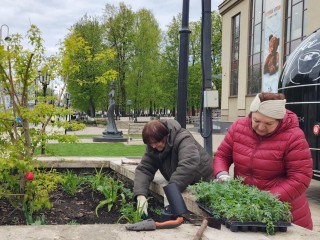 Бархатцы и тюльпаны украсят самые популярные места для фотосессий в Звенигороде