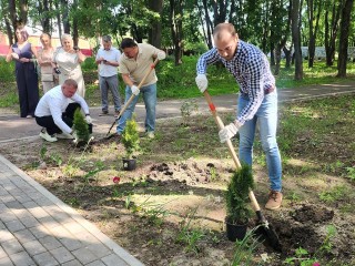 В Луховицах предприниматели в честь профессионального праздника посадили аллею туй