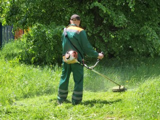 Лыткаринцам напомнили, во сколько можно начинать работать бензокосой